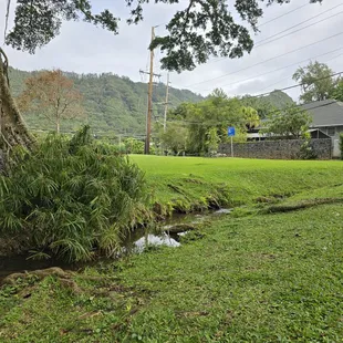 Little stream that kids like