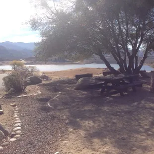 A great medicinal garden, with a place for lunch overlooking Isabella lake.