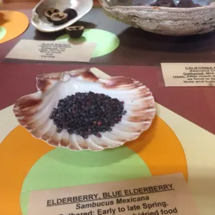 A display on medicinal uses of local plants.
