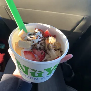 frozen yogurt