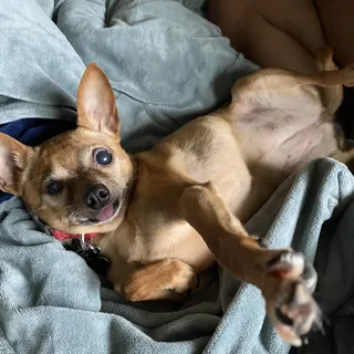 Abby O.