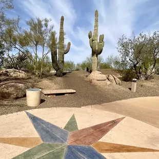 a desert landscape with cactus trees