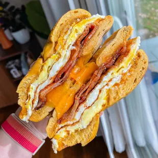 a person holding a sandwich