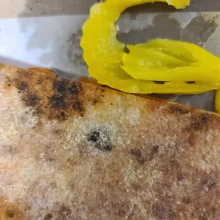 Even haslittle corn meal pressed into its body