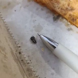 Pen to show size of ROACH
