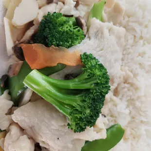 Moo Goo Gai Pan (chicken) with steamed rice and egg drop soup lunch special - $6.25. Ordered with no clear sauce.