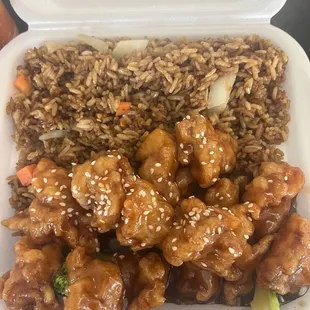 SC21. Sesame Chicken
