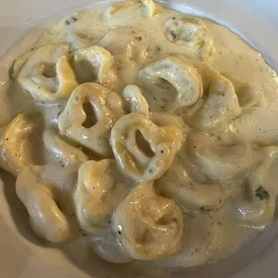 Tortellini Alfredo