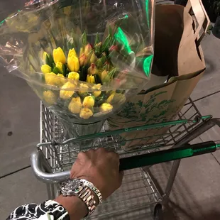 dessert, food, cupcakes