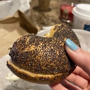 Poppy Seed Bagel