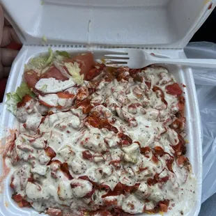 Chicken over rice meal.