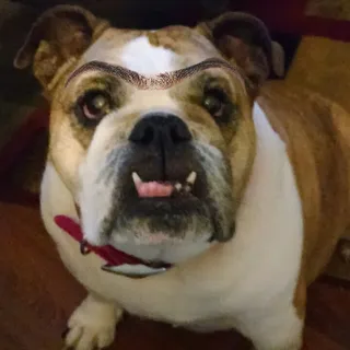 J Z.