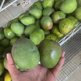 Yes! I've been hunting for green mango and finally found some here.