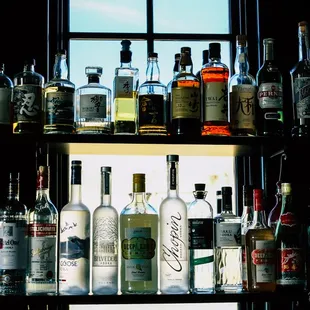 bottles of alcohol lined up on a shelf
