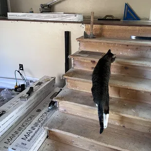 The laminate flooring that was supposed to go on the stairs