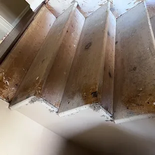 Stairs after carpet removal