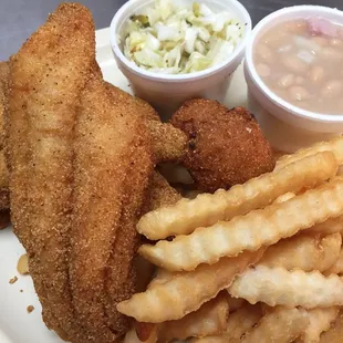 Catfish Platter