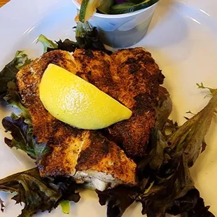 Mahi Mahi
