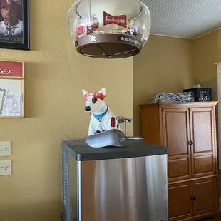 a dog on top of a refrigerator