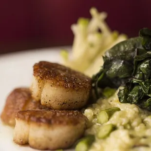 [SEA]RED SCALLOPS Served over asparagus risotto, green apple and fennel slaw, braised chard and citrus vinaigrette.