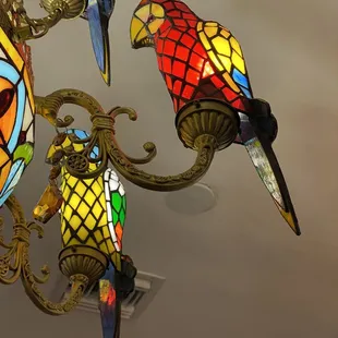 Parrot chandeliers