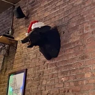 a black bear head mounted on a brick wall