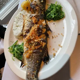 Branzino Special
