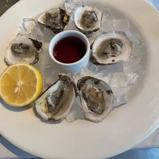 Oysters on the half shell
