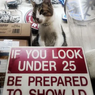 a cat sitting next to a sign