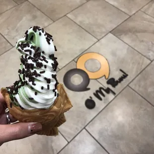 Taiyaki Soft Serve: Green Tea &amp; Milk Swirl