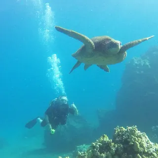 Mar R.