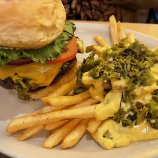 Green chili cheese burger with green chili cheese fries.