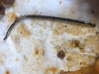 The Old Angle Tavern