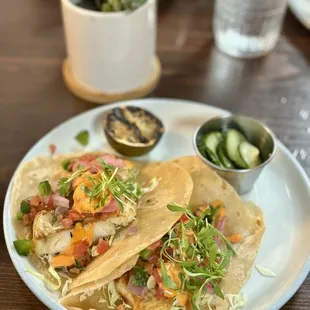 Two Cod Fish Tacos with Flour Tortilla.