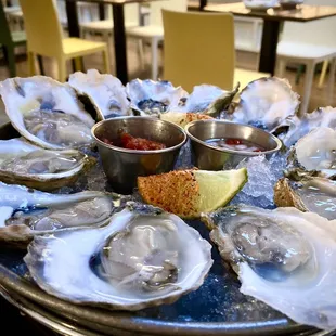 Fresh Oyster