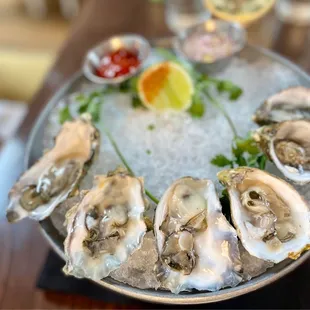 Minter sweet &amp; Bahia Salina oysters