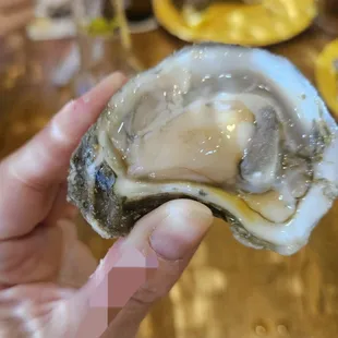 Delicious oyster