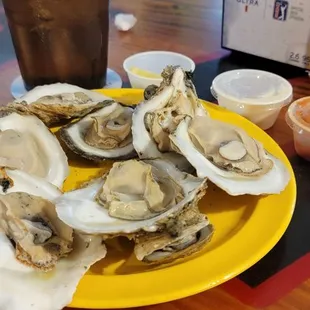 Steamed Oysters