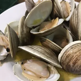 Steamed Clams