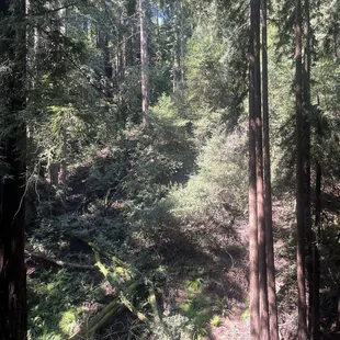 hike time