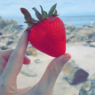 Aya R.