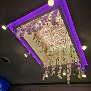 interior, sushi and sashimi