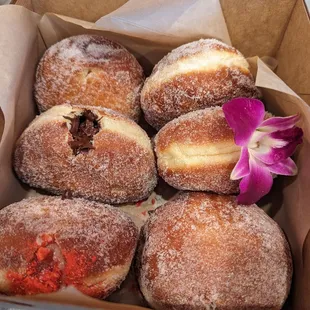 Malasadas, half-dozen variety box