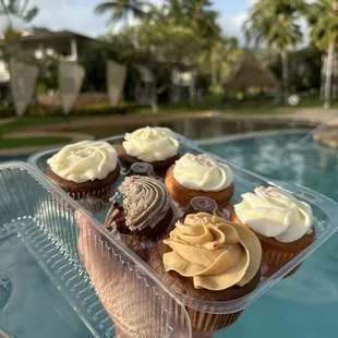 Cupcake options
