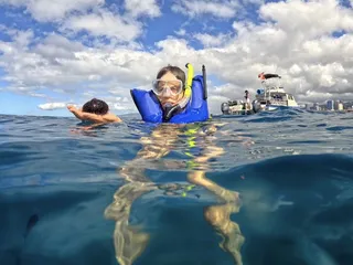 Island Splash Tours