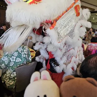 Chinese lion dance...