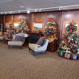 12/2022 More beautiful trees in the lobby area
