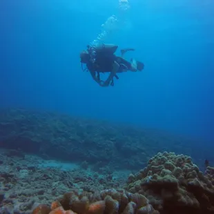 Oahu Diving