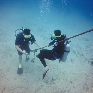The rope that guided us down to the sea bed