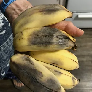 Bananas delivered in our Oahu Fresh basket on 29 Dec 2016